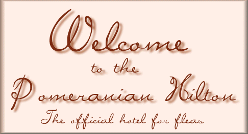 Pomeranian Hilton -- the hotel for fleas